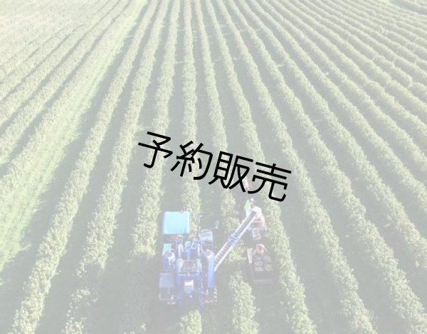 画像5: 有機JAS フリーズドライカシス(粒）120g (5)