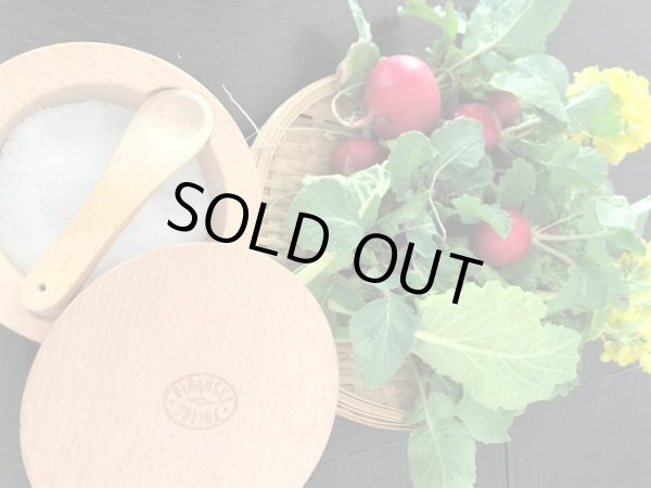 画像3: スプーン付きソルトケース (3)