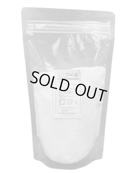 画像1: トラディショナルシーソルト　パウダー　1Kg（500g×2） (1)